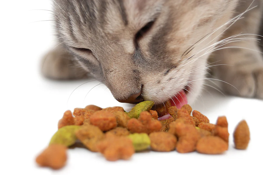Cats - Premium Food and Supplies