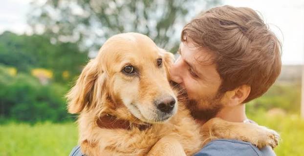 Happy Dog with Owner